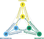 Magnetic Shape Memory Alloys (MSMAs) & Smart Composites